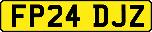 FP24DJZ