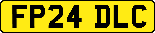 FP24DLC