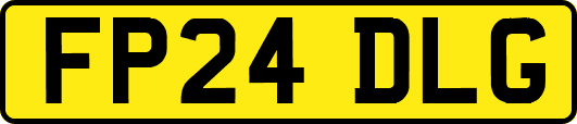 FP24DLG