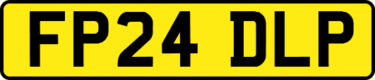 FP24DLP