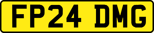 FP24DMG