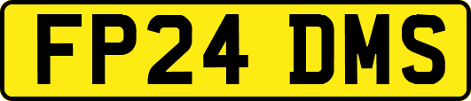 FP24DMS
