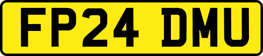 FP24DMU