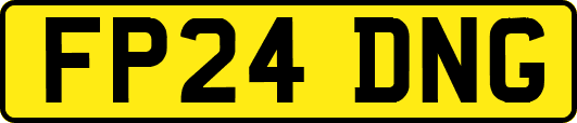 FP24DNG