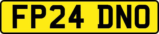 FP24DNO