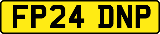 FP24DNP