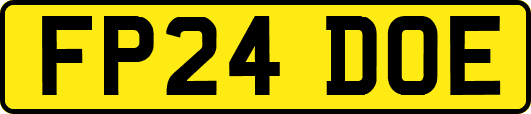FP24DOE