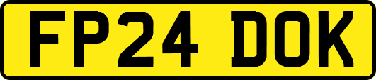 FP24DOK