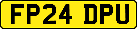 FP24DPU