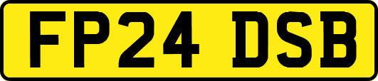 FP24DSB