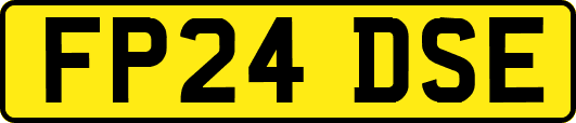 FP24DSE