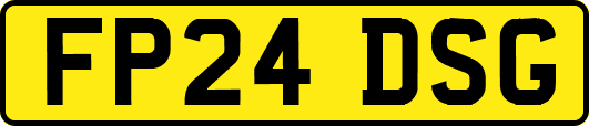 FP24DSG