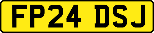 FP24DSJ