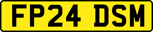 FP24DSM