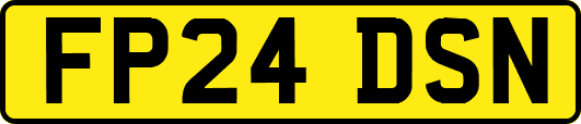 FP24DSN