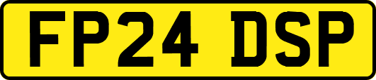 FP24DSP