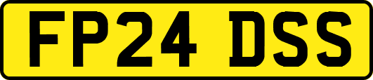 FP24DSS