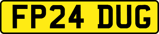 FP24DUG