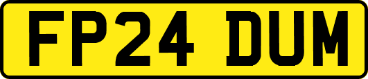 FP24DUM