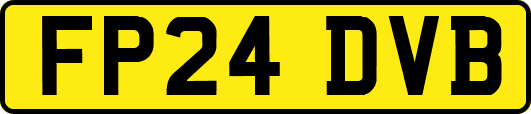 FP24DVB