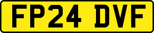FP24DVF