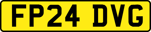 FP24DVG