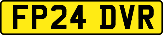 FP24DVR