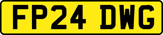 FP24DWG