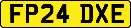 FP24DXE