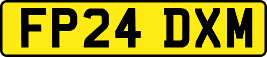 FP24DXM