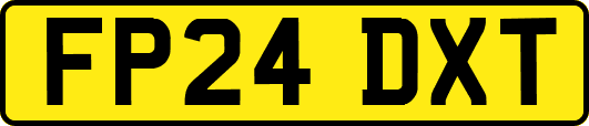 FP24DXT