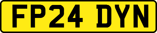 FP24DYN