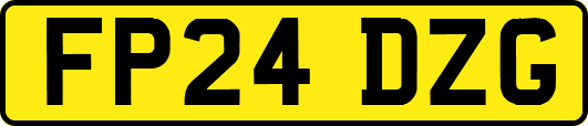 FP24DZG