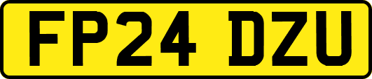 FP24DZU
