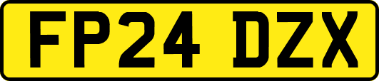 FP24DZX