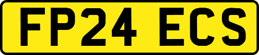 FP24ECS