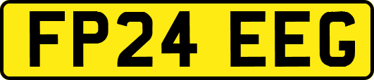 FP24EEG