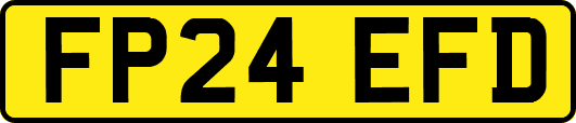 FP24EFD