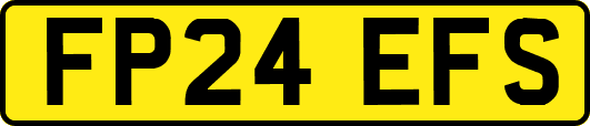 FP24EFS