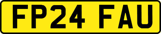 FP24FAU