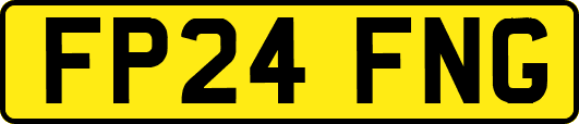 FP24FNG