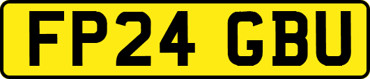 FP24GBU