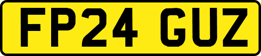 FP24GUZ