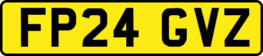FP24GVZ