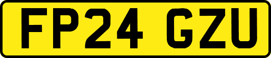 FP24GZU