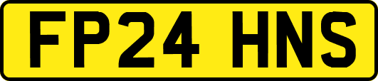 FP24HNS