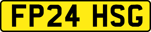 FP24HSG