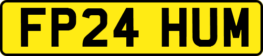 FP24HUM