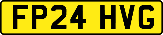 FP24HVG