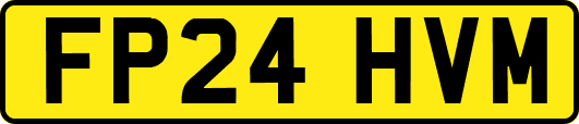 FP24HVM